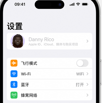 光坡镇appleID维修服务iPhone设置中Apple ID显示为灰色无法使用