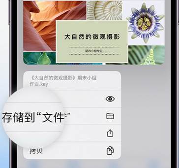 光坡镇apple维修中心分享iPhone文件应用中存储和找到下载文件