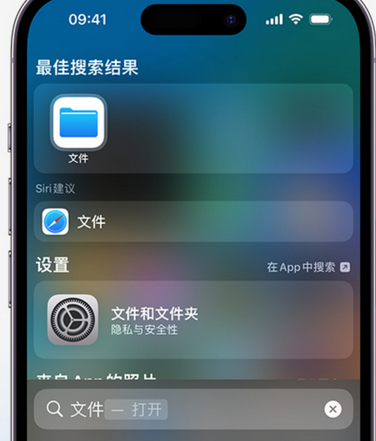 光坡镇apple维修中心分享iPhone文件应用中存储和找到下载文件 