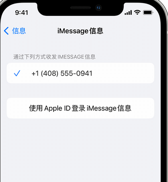 光坡镇apple维修iPhone上无法正常发送iMessage信息 