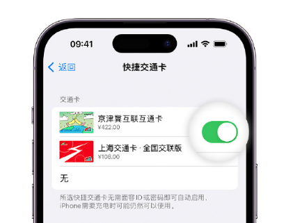 光坡镇apple维修点分享iPhone上更换Apple Pay快捷交通卡手绘卡面 