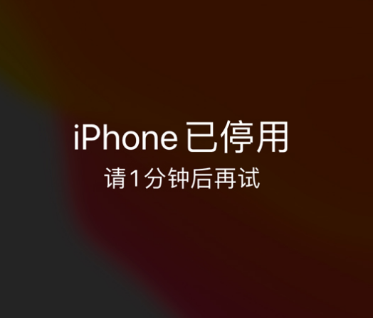 光坡镇苹果手机维修分享:iPhone 显示“不可用”或“已停用”怎么办？还能保留数据吗？ 