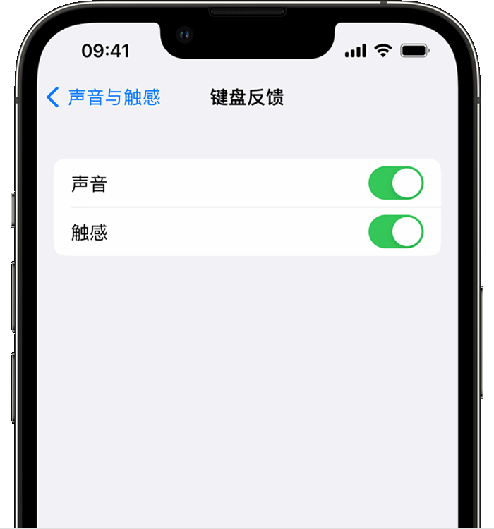 光坡镇苹果14维修店分享如何在 iPhone 14 机型中使用触感键盘 