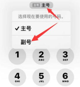 光坡镇苹果14维修店分享iPhone 14 Pro Max使用副卡打电话的方法 