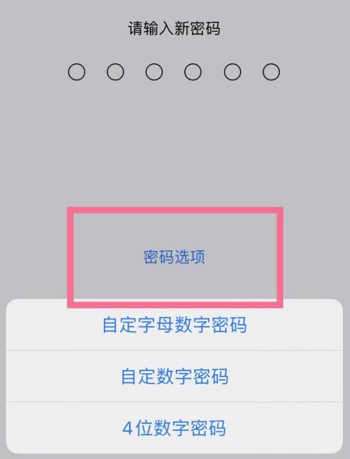 光坡镇苹果14维修分享iPhone 14plus设置密码的方法 