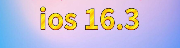 光坡镇苹果服务网点分享苹果iOS16.3升级反馈汇总 