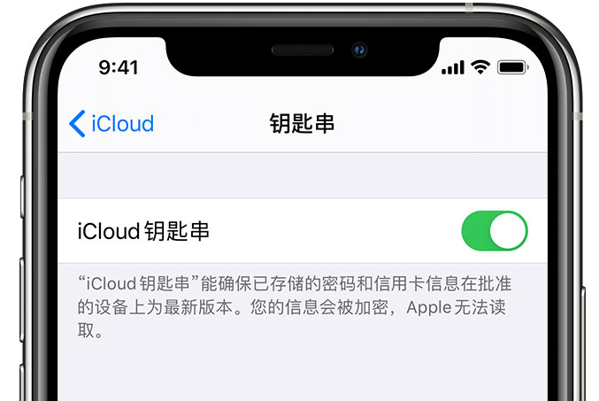 光坡镇苹果手机维修分享在 iPhone 上开启 iCloud 钥匙串之后会储存哪些信息 