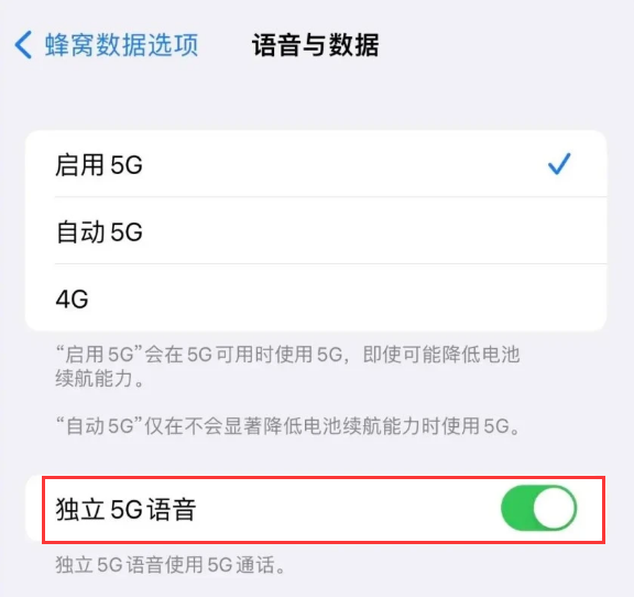光坡镇苹果14维修分享iPhone 14 Pro如何开启VoNR 