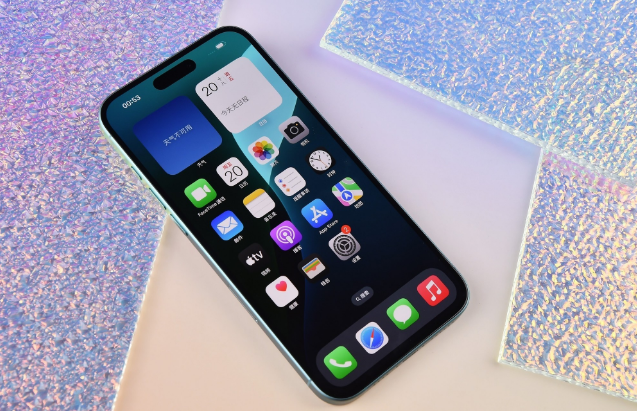 光坡镇苹果手机维修分享为什么大家不喜欢苹果iPhone 16 Plus 