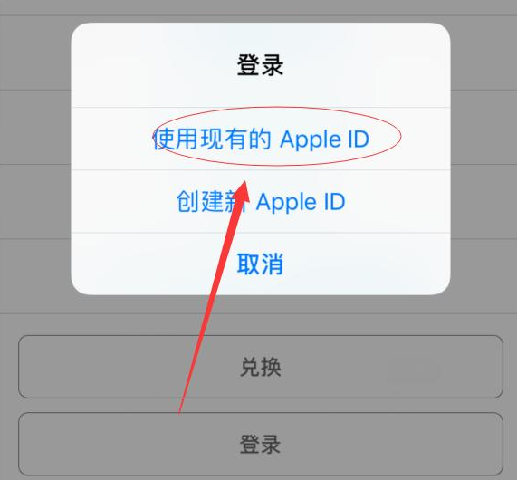 光坡镇苹果手机维修分享两台iPhone设备可以同时登录一个Apple ID吗 