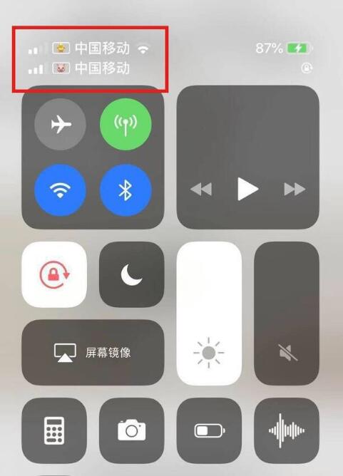 光坡镇苹果手机维修分享为 iPhone 12 双卡设置标签 