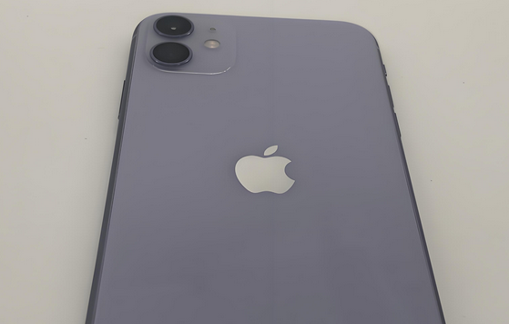 光坡镇苹果11系统维修分享iPhone11手机系统崩溃无法开机如何解决 